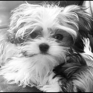 Meet your Posher, Jill